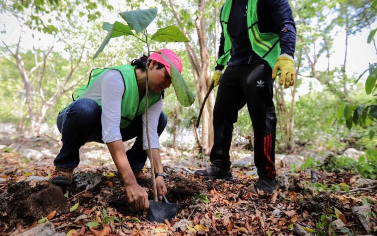Invita Dirección de Juventud de Puerto Morelos a ciudadanía a participar en jornada de reforestación