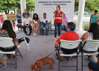 Promueve Atenea Gómez salud y cuidado de mascotas a través de app de vacunas antirrábicas