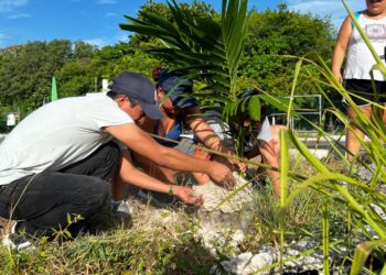 Organizan jóvenes en Puerto Morelos jornada de reforestación