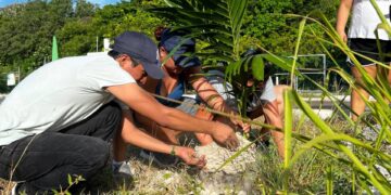 Organizan jóvenes en Puerto Morelos jornada de reforestación