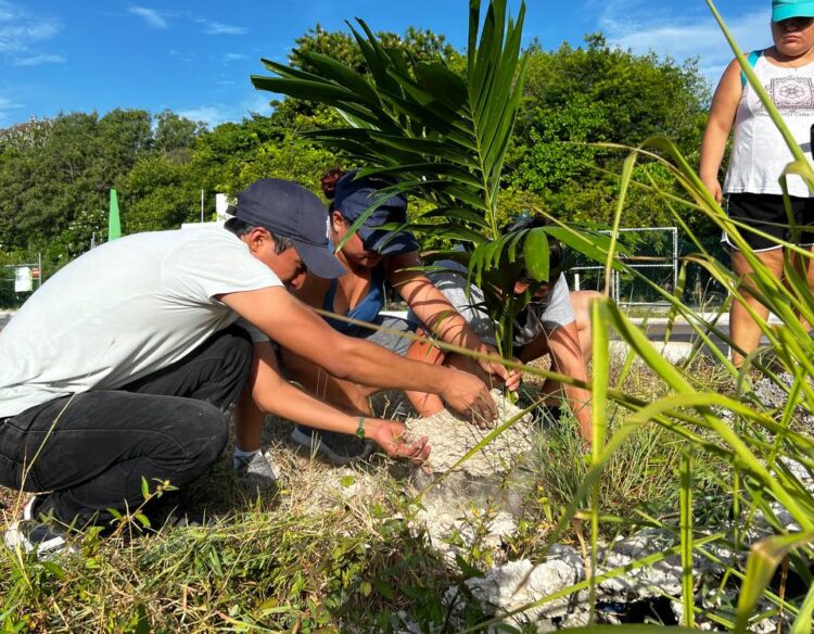 Organizan jóvenes en Puerto Morelos jornada de reforestación