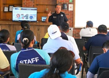 Unen gobierno de Isla Mujeres y Dolphin Discovery esfuerzos contra robo hormiga