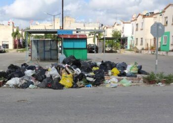 Basura y elecciones
