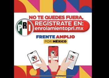 Plataforma del PRI, con gran respuesta ciudadana: Pedro Flota