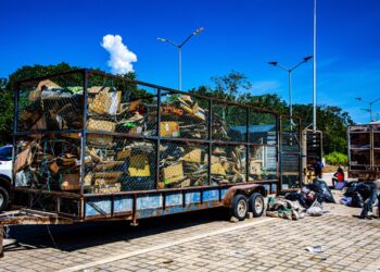Con programa “Reciclatón” se protege medio ambiente en Playa del Carmen