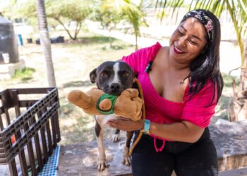 Se da trato digno y se promueve la adopción canina en Playa del Carmen