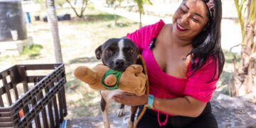 Se da trato digno y se promueve la adopción canina en Playa del Carmen
