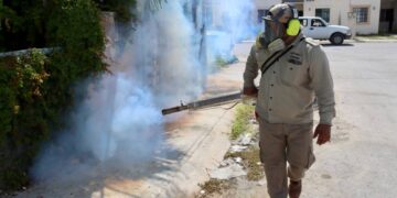 Combaten al mosco transmisor del dengue en Puerto Morelos