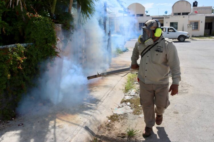 Combaten al mosco transmisor del dengue en Puerto Morelos