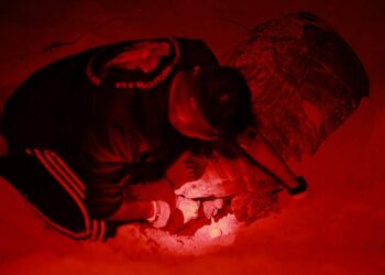 Promueve gobierno de Atenea Gómez conservación de tortugas marinas