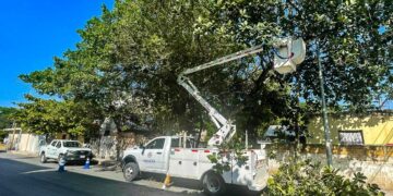 Realizan poda de árboles por temporada de lluvias en Playa del Carmen