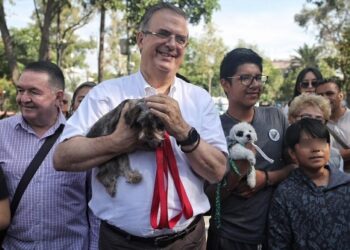 Encuesta tendrá valor de 75% para definir a candidato de Morena: Marcelo Ebrard