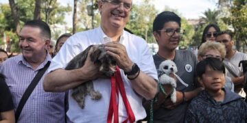 Encuesta tendrá valor de 75% para definir a candidato de Morena: Marcelo Ebrard