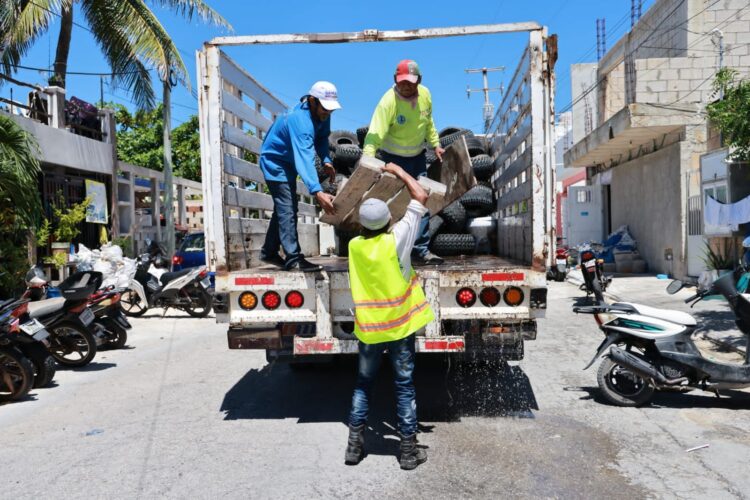 Promueve Atenea Gómez entornos saludables con Programa Permanente de Descacharrización