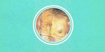 Verdores y derrumbes