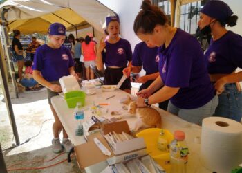 Gobierno de Puerto Morelos organiza campaña de esterilización canina y felina