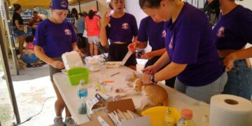 Gobierno de Puerto Morelos organiza campaña de esterilización canina y felina