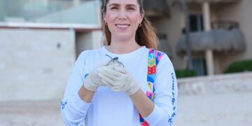 Redobla gobierno de Atenea Gómez esfuerzos para proteger a tortugas marinas