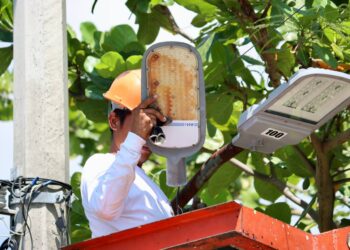 Continúa renovación de la red de alumbrado en Puerto Morelos