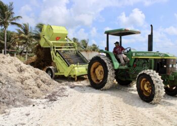 La lucha contra el sargazo es imparable en Puerto Morelos: Blanca Merari