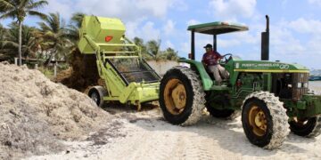 La lucha contra el sargazo es imparable en Puerto Morelos: Blanca Merari