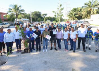 Blanca Merari encabeza jornada de Mega Arborización en Puerto Morelos