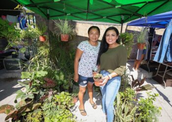 Fortalecer economía municipal, compromiso que se cumple: Blanca Merari