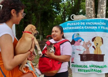 Gobierno de Puerto Morelos se suma a Semana Nacional de Vacunación Antirrábica