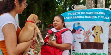 Gobierno de Puerto Morelos se suma a Semana Nacional de Vacunación Antirrábica