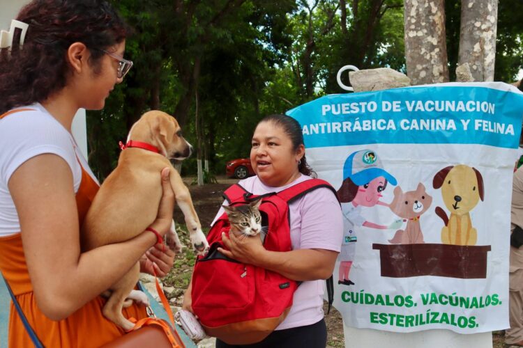 Gobierno de Puerto Morelos se suma a Semana Nacional de Vacunación Antirrábica