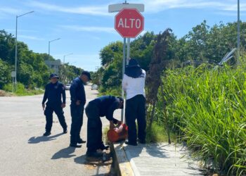 Tránsito de Playa del Carmen instala señales viales para protección de los ciudadanos