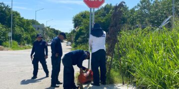 Tránsito de Playa del Carmen instala señales viales para protección de los ciudadanos