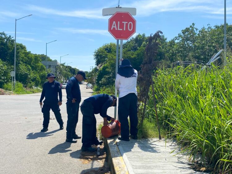 Tránsito de Playa del Carmen instala señales viales para protección de los ciudadanos