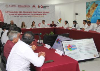 Benito Juárez apuntala trabajos contra dengue y sargazo: Ana Paty Peralta