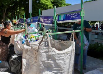 Gobierno de Puerto Morelos reafirma compromiso con protección del medio ambiente