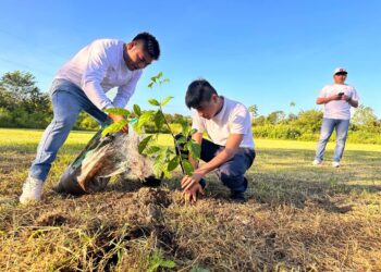 Jóvenes reforestan el Cecyte, Leona Vicario