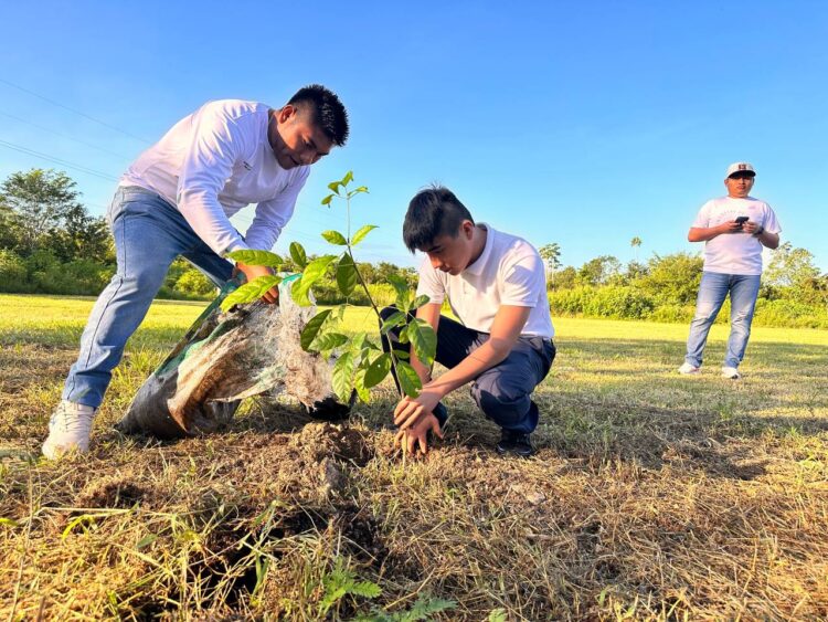 Jóvenes reforestan el Cecyte, Leona Vicario
