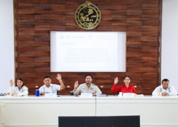 Solidaridad, cerca de alcanzar meta de ingresos