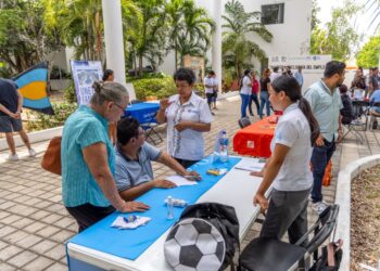 Solidaridad importante generador de vacantes de empleo