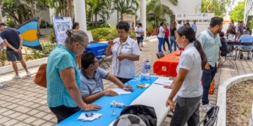 Solidaridad importante generador de vacantes de empleo