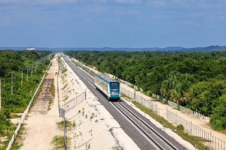 Tren Maya aumentó hasta 400% plusvalía en inmuebles del sureste