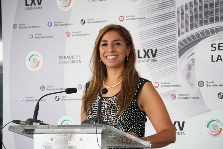 Defiende Marybel Villegas en el Senado derechos de las minorías