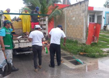 Intenso Trabajo para mantener en funcionamiento la red de pozos pluviales en Puerto Morelos