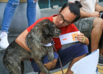Pasitos con Causa” impulsa la convivencia Pet Friendly y la solidaridad canina