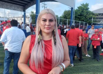 Relevan a Patricia Casados de la dirigencia del PT en Quintana Roo