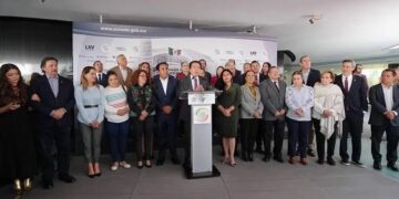 Resolución sobre paridad en nueve estados no provocará división en Morena: Delgado