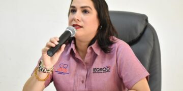 Se agota el plazo para integrar consejos del IEQROO.