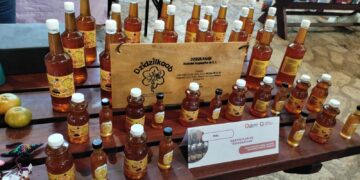 Puerto Morelos, presente en la Vinculación de Productores y Artesanas con Grupo Xcaret