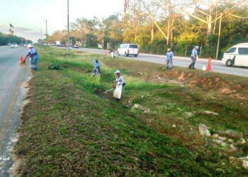 Mantienen carreteras limpias en Solidaridad
