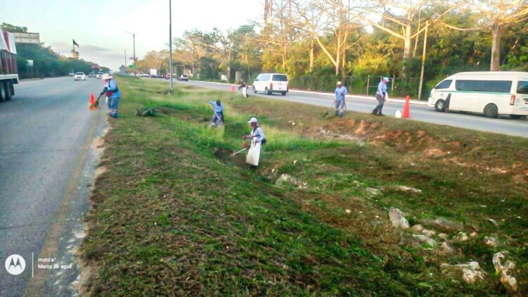 Mantienen carreteras limpias en Solidaridad